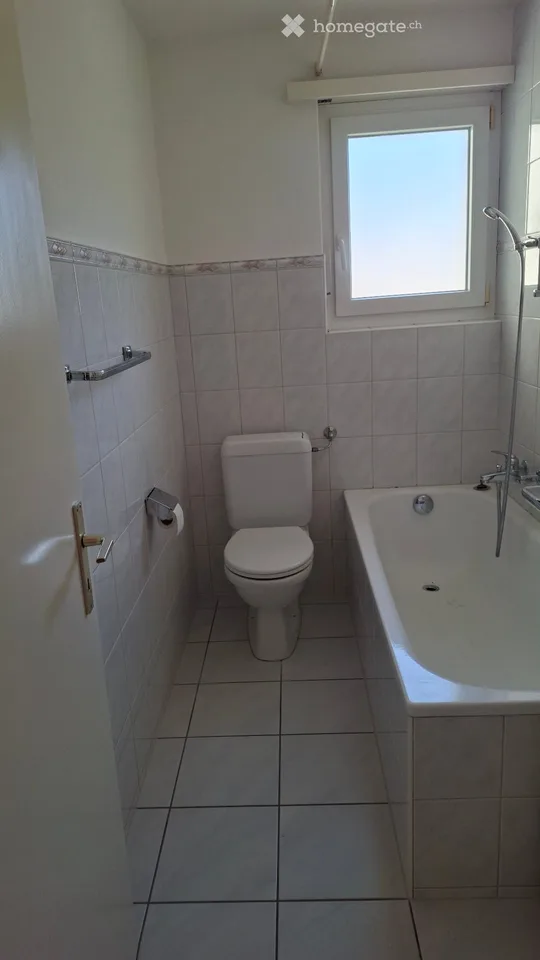 4,5 Zimmer Wohnung