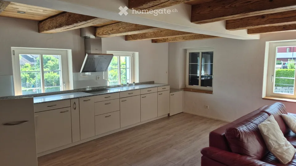 Appartement 2.5 pièces à Ebikon