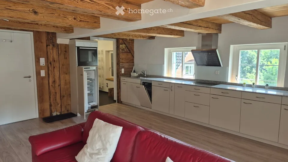 Appartement 2.5 pièces à Ebikon