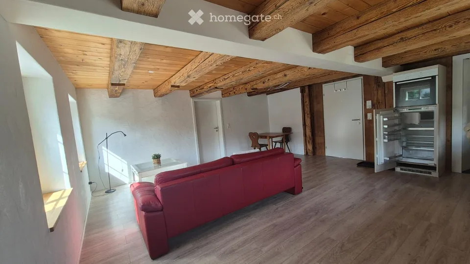 Appartement 2.5 pièces à Ebikon