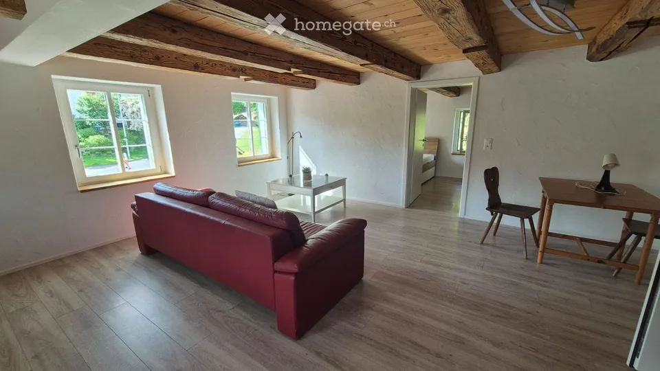 Appartement 2.5 pièces à Ebikon