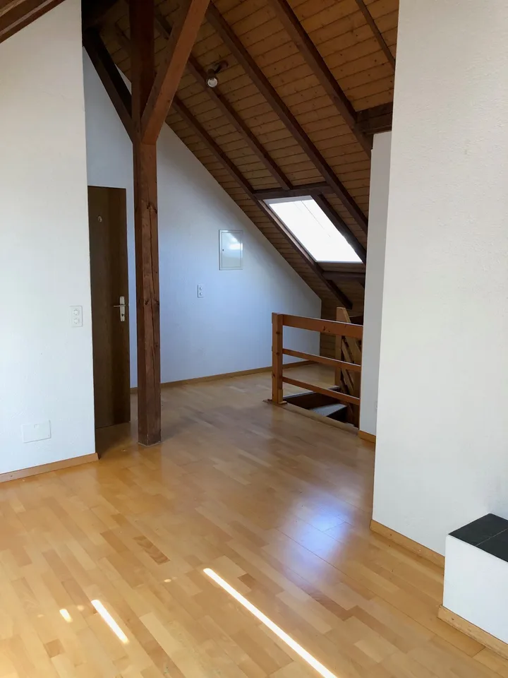 Loft apartment with extras