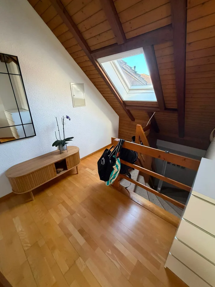 Loft apartment with extras