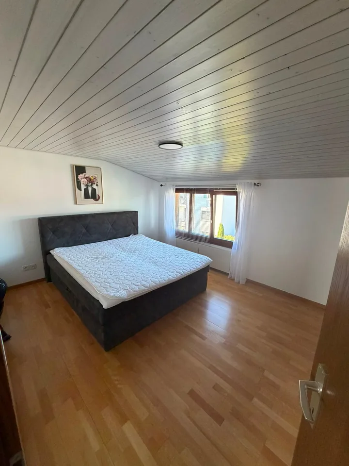 Loft apartment with extras