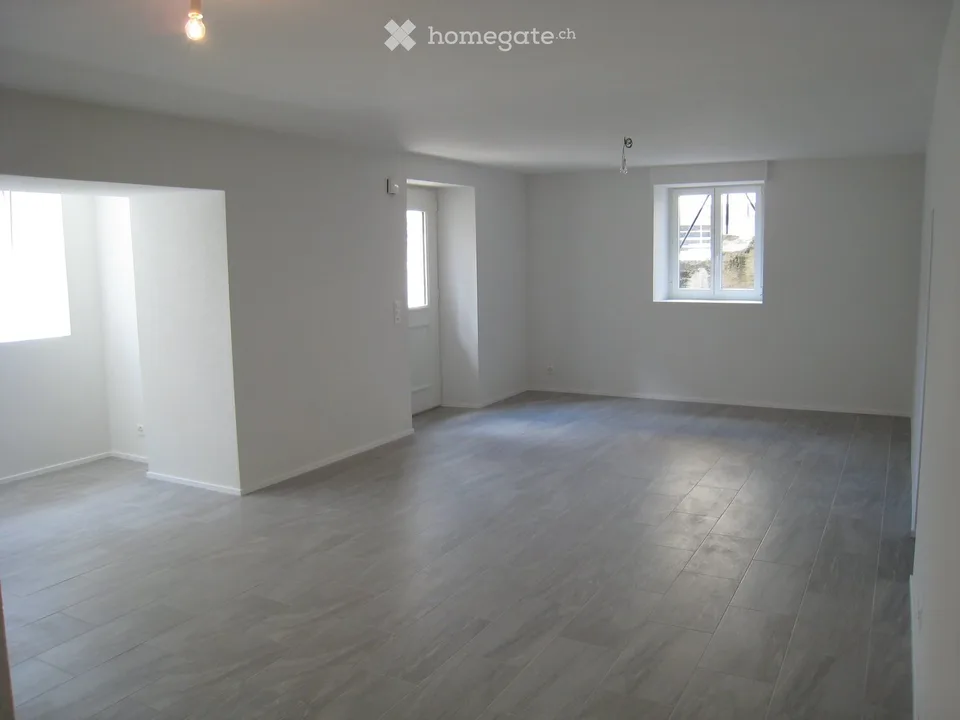 Magnifique loft de 58 m², av. des Alpes, Lausanne. Situation idéale au calme pour une personne seule