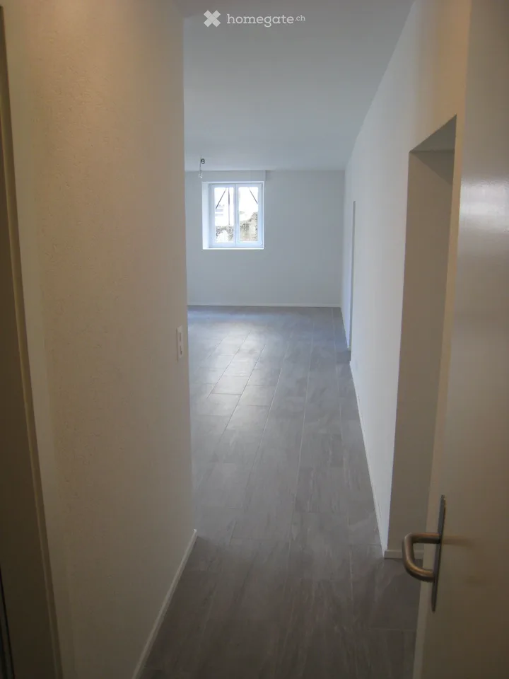 Magnifique loft de 58 m², av. des Alpes, Lausanne. Situation idéale au calme pour une personne seule