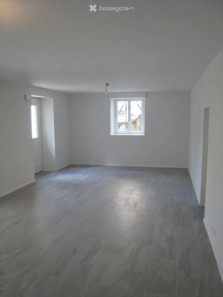 Magnifique loft de 58 m², av. des Alpes, Lausanne. Situation idéale au calme pour une personne seule