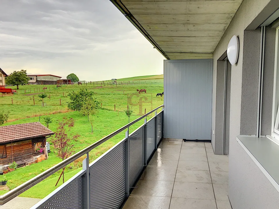 Zwei superbe Apartments mit 2.5 Zimmern zur Miete