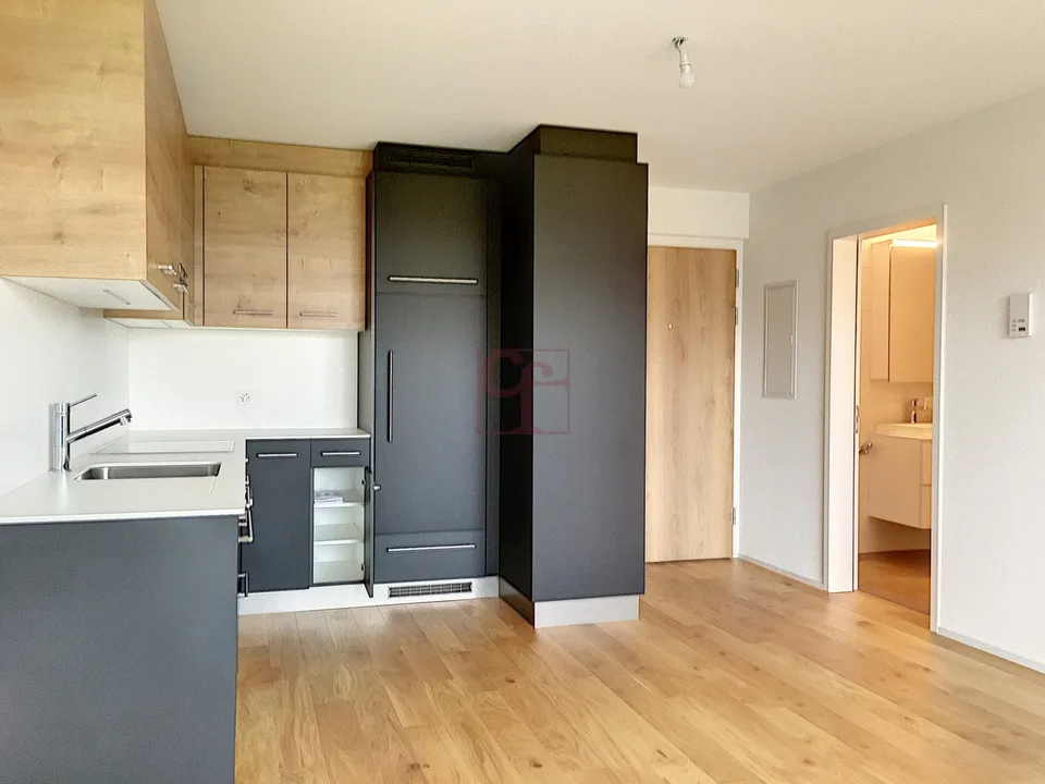 Zwei superbe Apartments mit 2.5 Zimmern zur Miete
