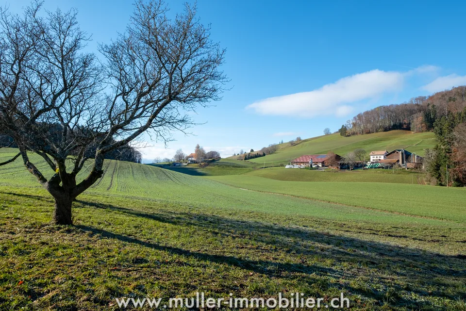 Ferme rénovée : environnement tranquille entouré de champs – photo 12 sur 13