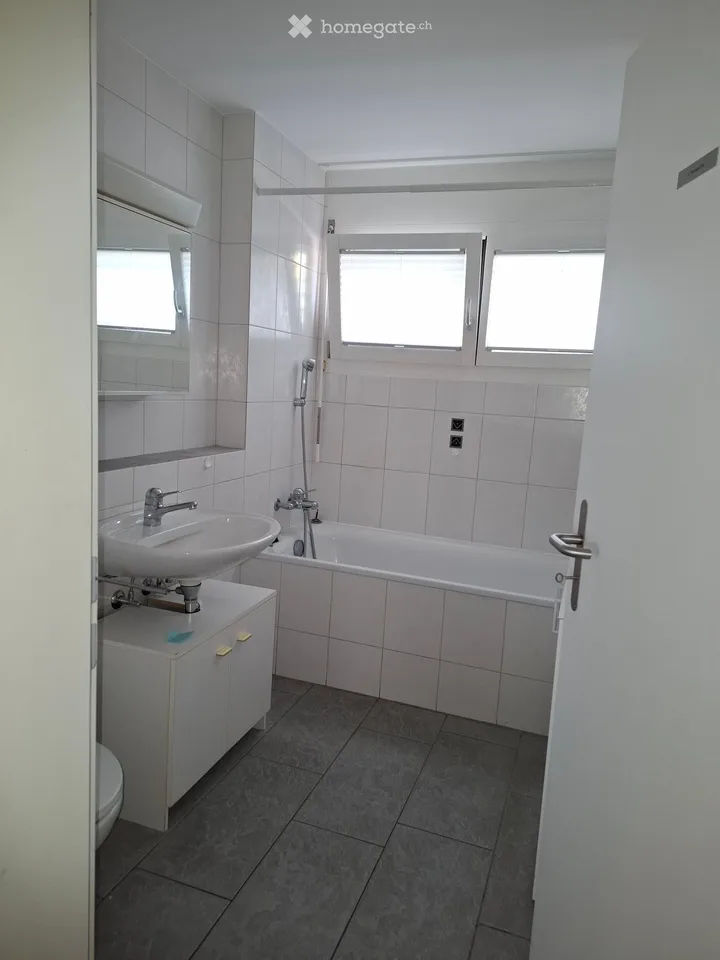 Wohnung in Wangen b. Olten