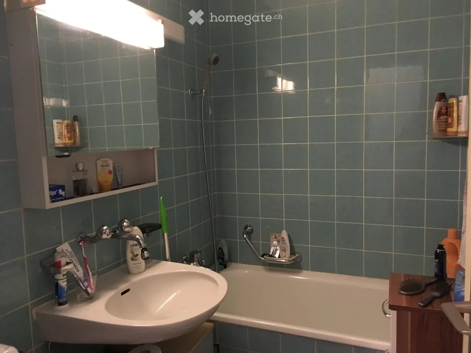 Zentral gelegene, helle 1-Zi Wohnung zu verkaufen