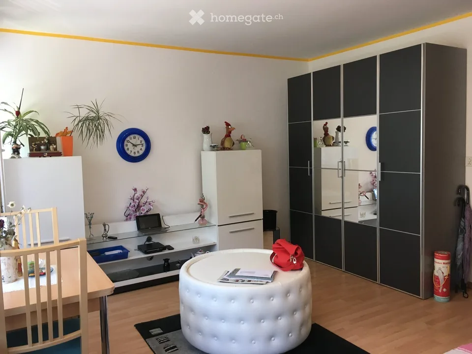 Zentral gelegene, helle 1-Zi Wohnung zu verkaufen