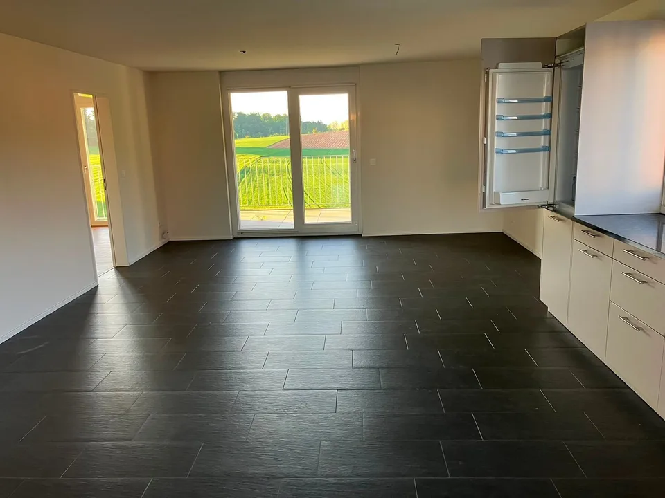 Luminoso appartamento di 3,5 stanze con balcone a Egliswil