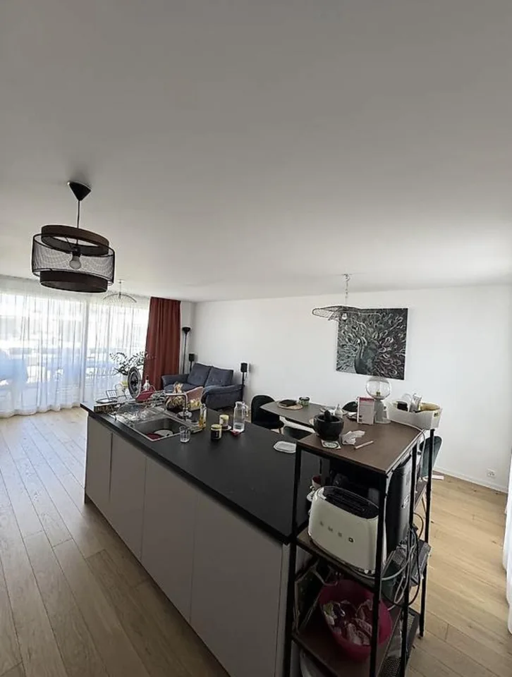 Sehr schönes 4-Zimmer-Apartment in Troinex