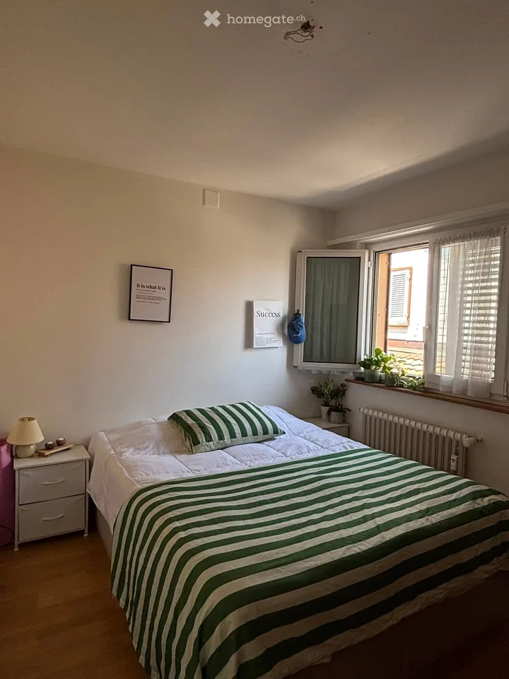 Chambre dans colocation avec terrasse sur le toit et vue sur le lac