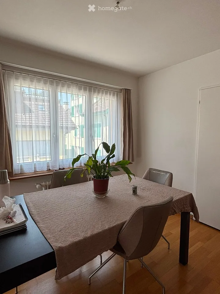 Chambre dans colocation avec terrasse sur le toit et vue sur le lac