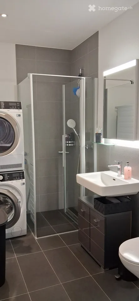 Appartement moderne 2.5 pièces 74m dans le bureau