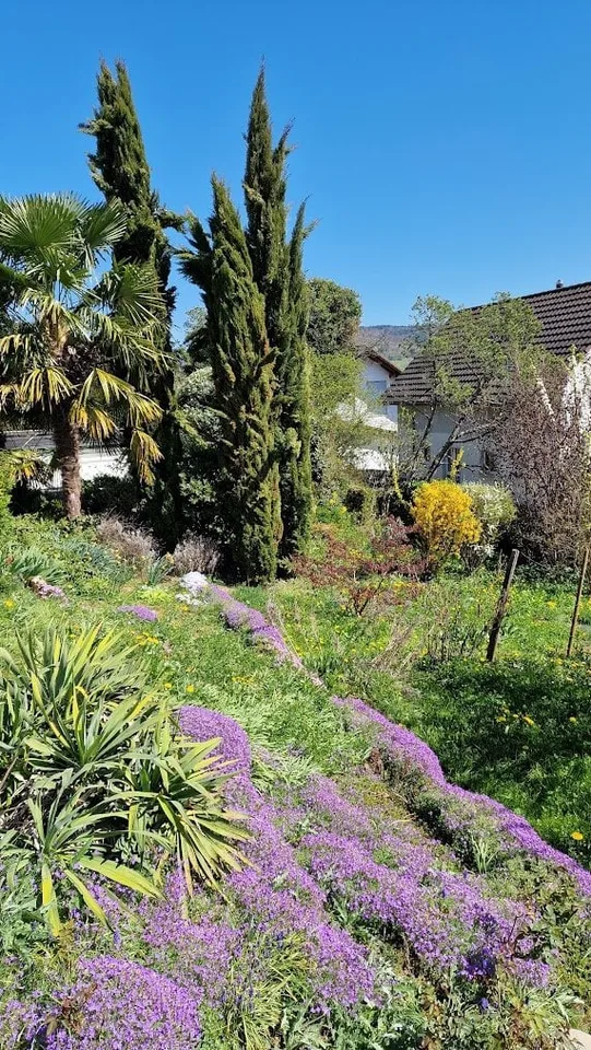 Casa dei sogni con ambiente mediterraneo e vista panoramica