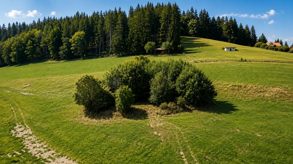Traumhafte Aussicht, sonnige Lage und viel Potenzial in Speicher