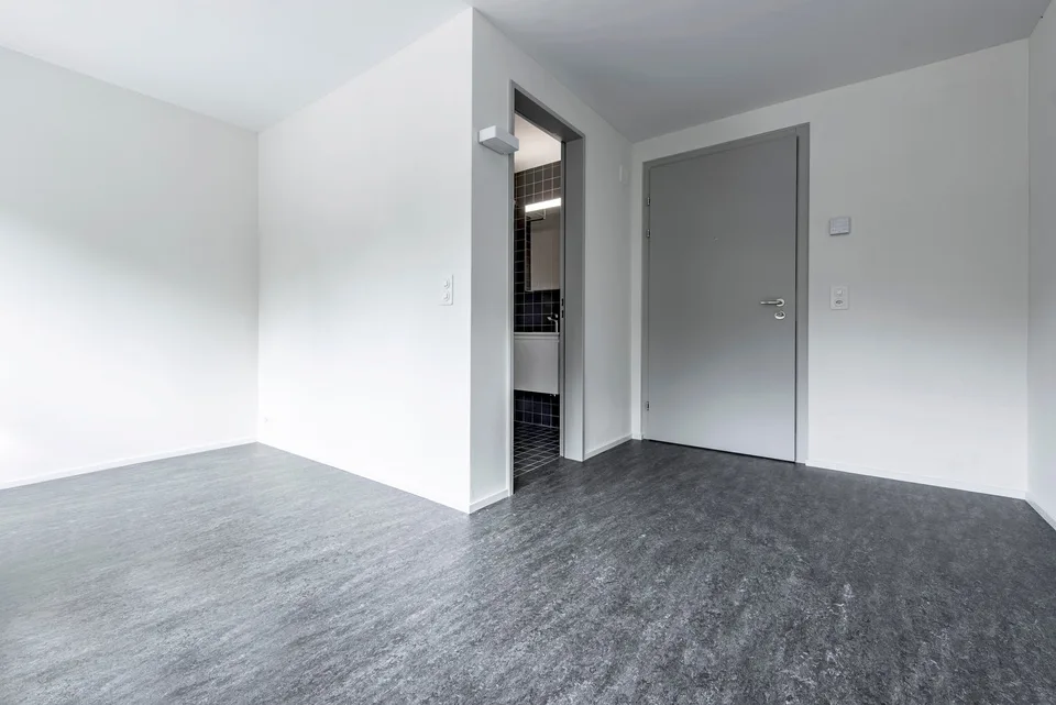 Modern 1-room apartment for rent
