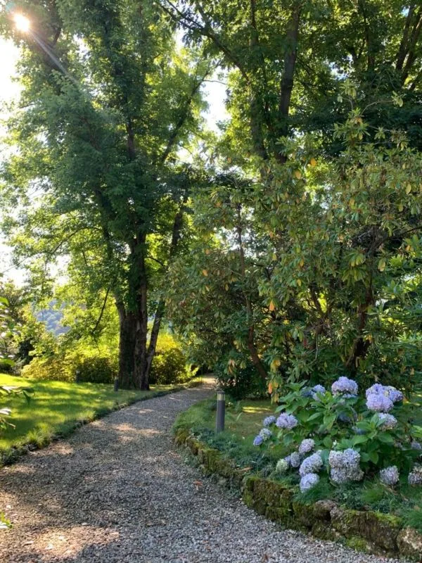 2.5 locali con vista lago