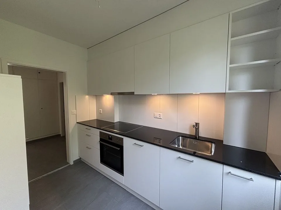 3 1/2-Zimmerwohnung, Parterre links