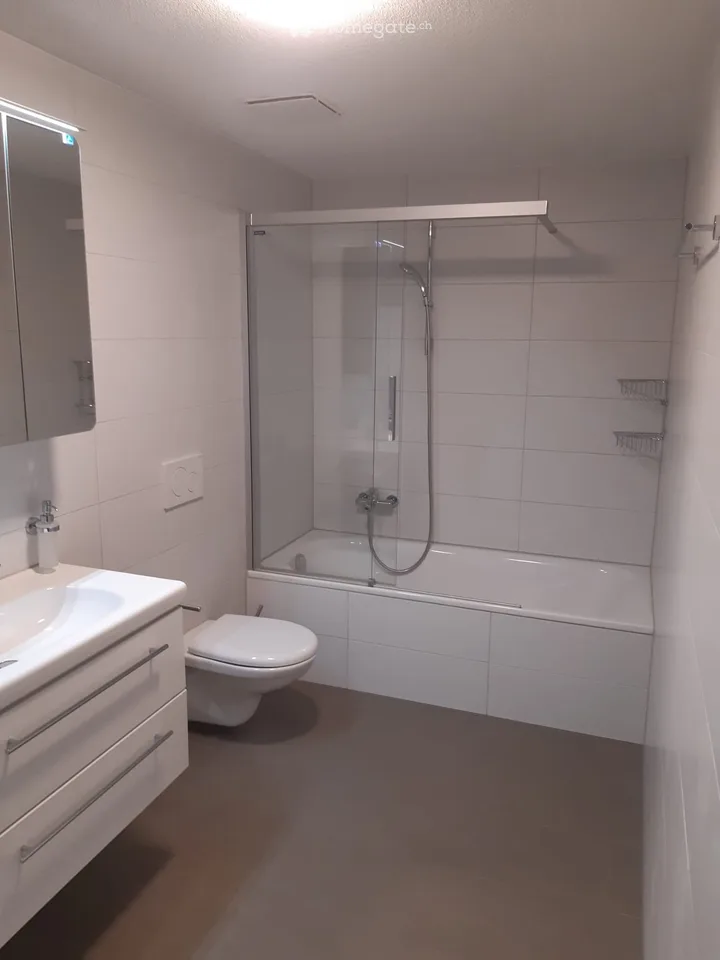 Moderne, kleine 2-Zimmer Wohnung in Rothenthurm zu vermieten