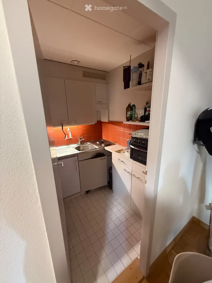 Studio 1.5 rooms for rent Champel neighborhood
