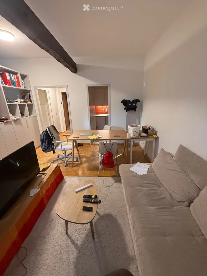 Studio 1.5 rooms for rent Champel neighborhood
