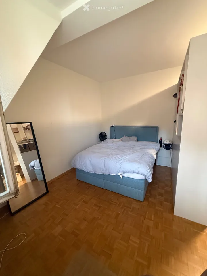 Studio 1.5 rooms for rent Champel neighborhood