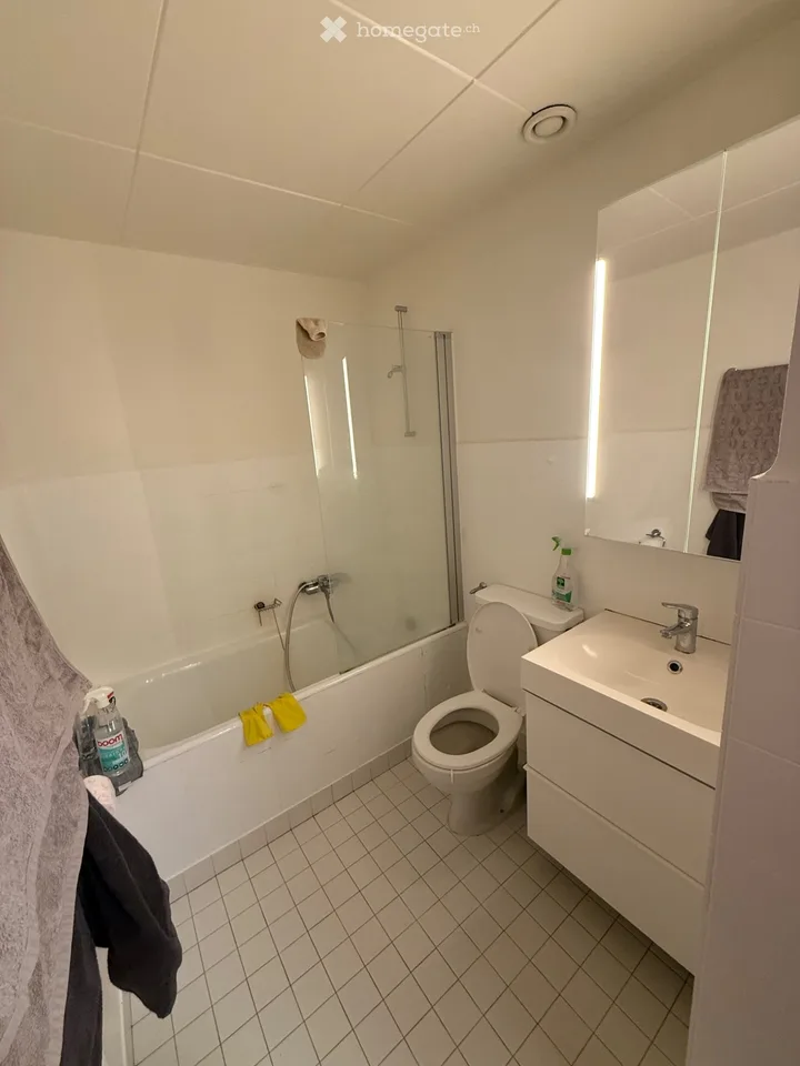 Studio 1.5 rooms for rent Champel neighborhood