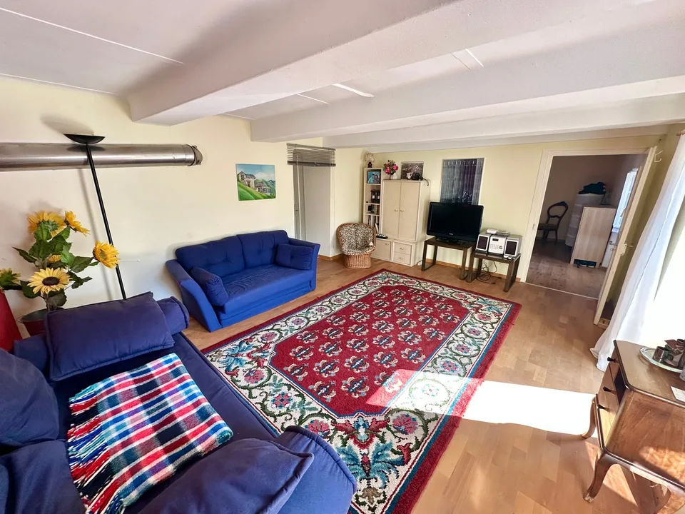 Wohnung im Onsernonetal