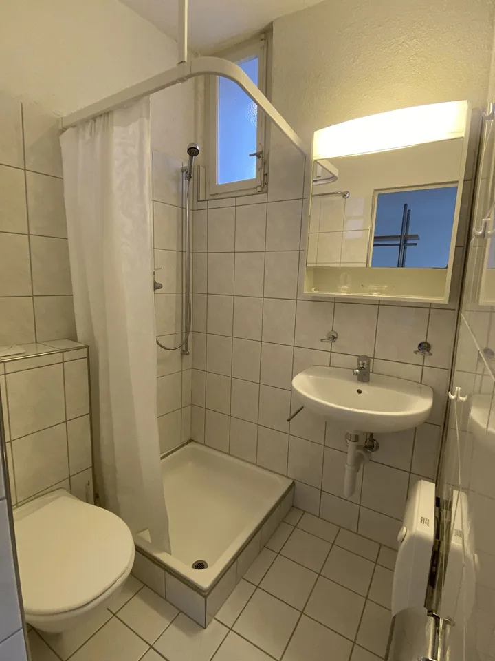 Möbliertes 1-Zimmer-Apartment im Altbau – Winterthur Wülflingen