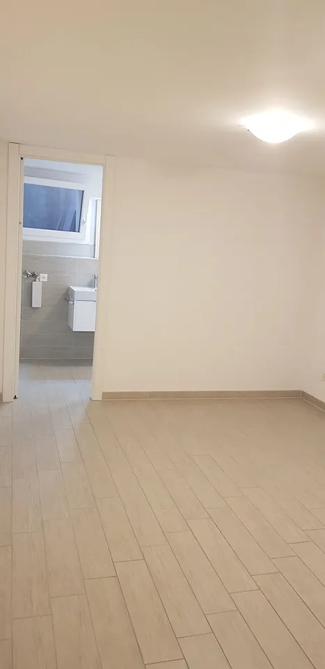 Doppelte Investitionsmöglichkeit: 2,5 Zimmer mit Büro/Doppelzimmer inklusive, Cadempino – Foto 6 von 18