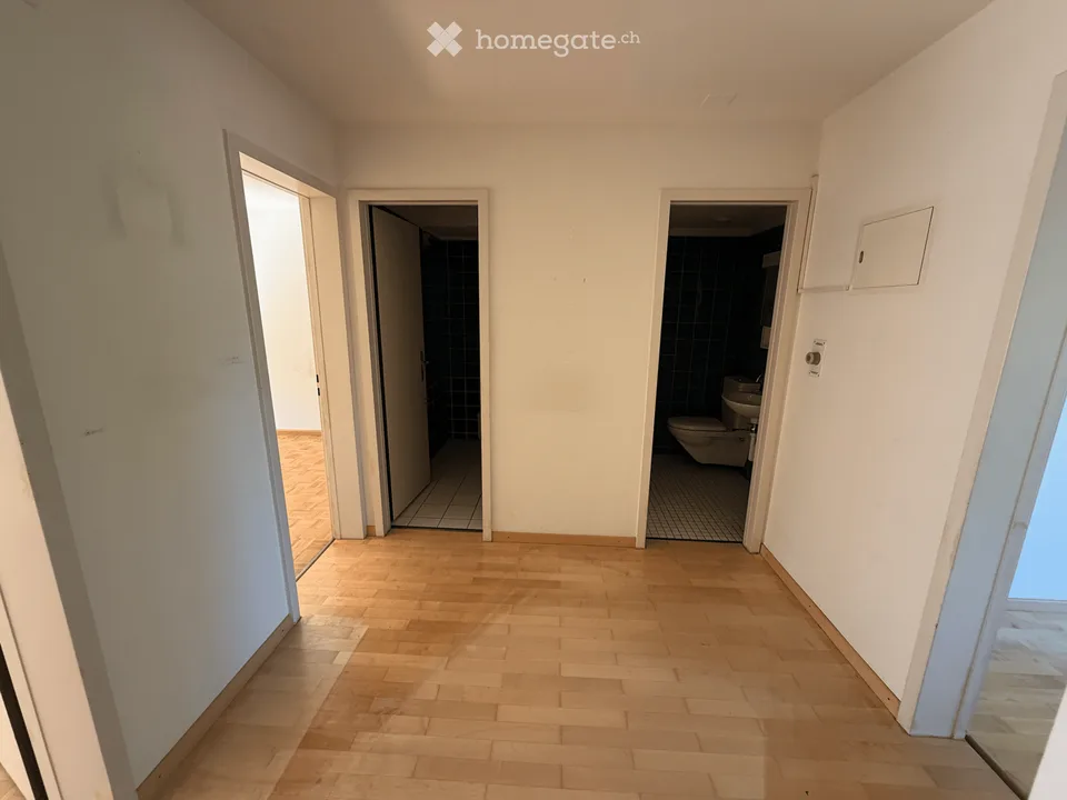 Incantevole appartamento di 3 locali con balcone e bella vista a Basilea