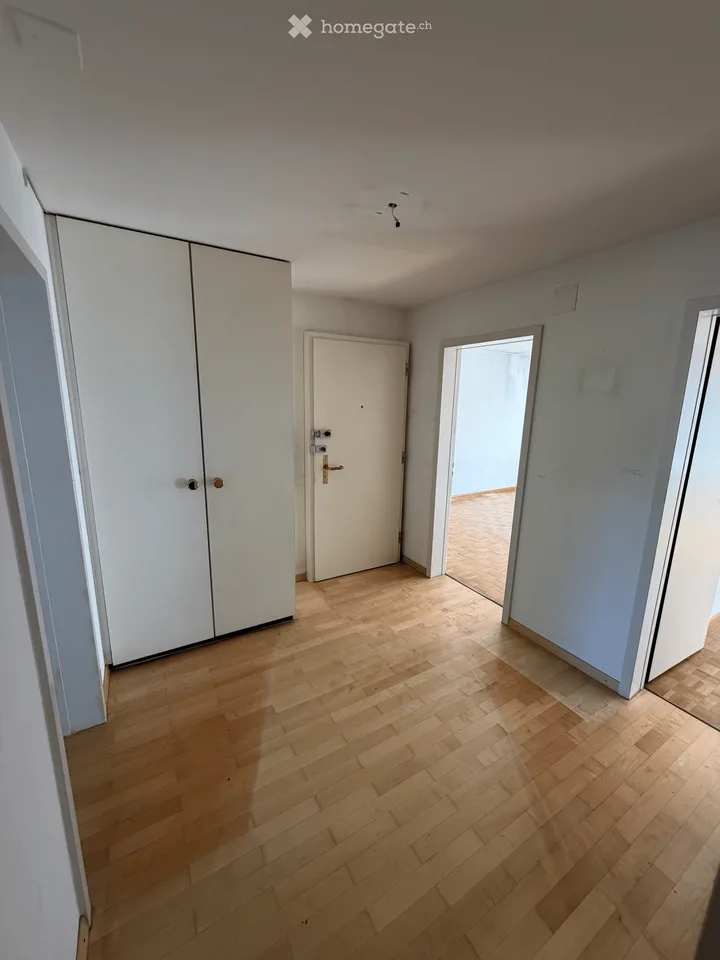 Incantevole appartamento di 3 locali con balcone e bella vista a Basilea