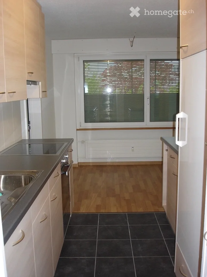4.5 Zimmer-Wohnung in Thun-Gwatt