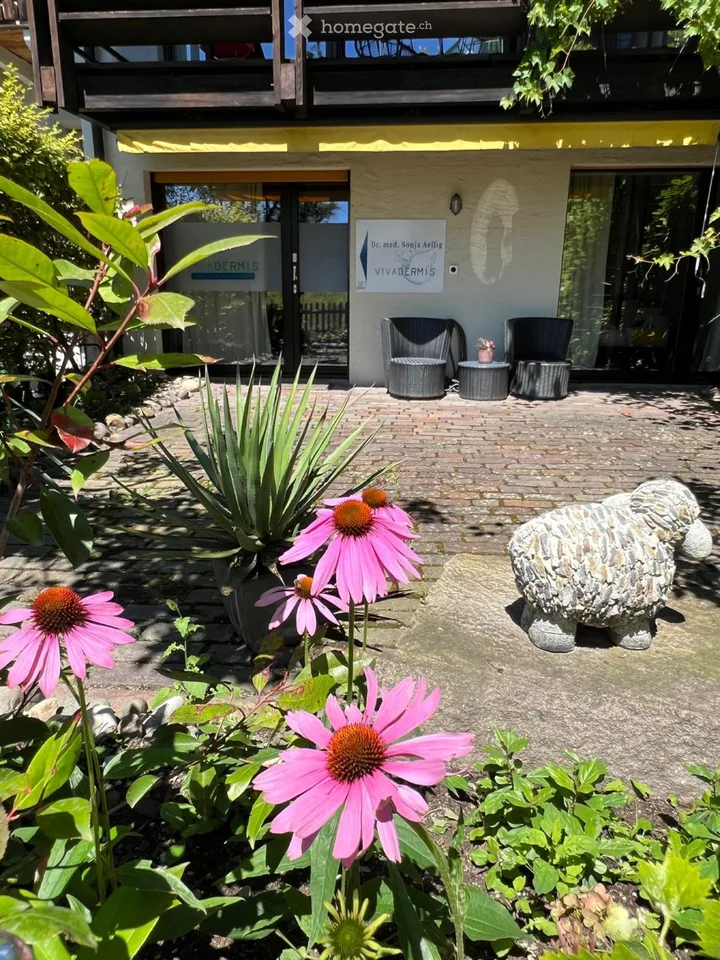 2-Zimmer Whg in Witikon, ideal als Praxis oder Wohnraum