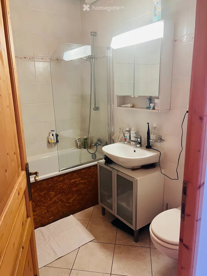 Übernahme des Mietvertrags Loft (81 m²) mit Parkplatz Carouge