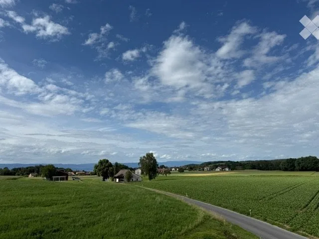 Schönes 2,5-Zimmer-Apartment in einer grünen und ruhigen Umgebung