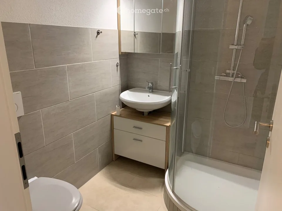 4.5-room apartment in the green