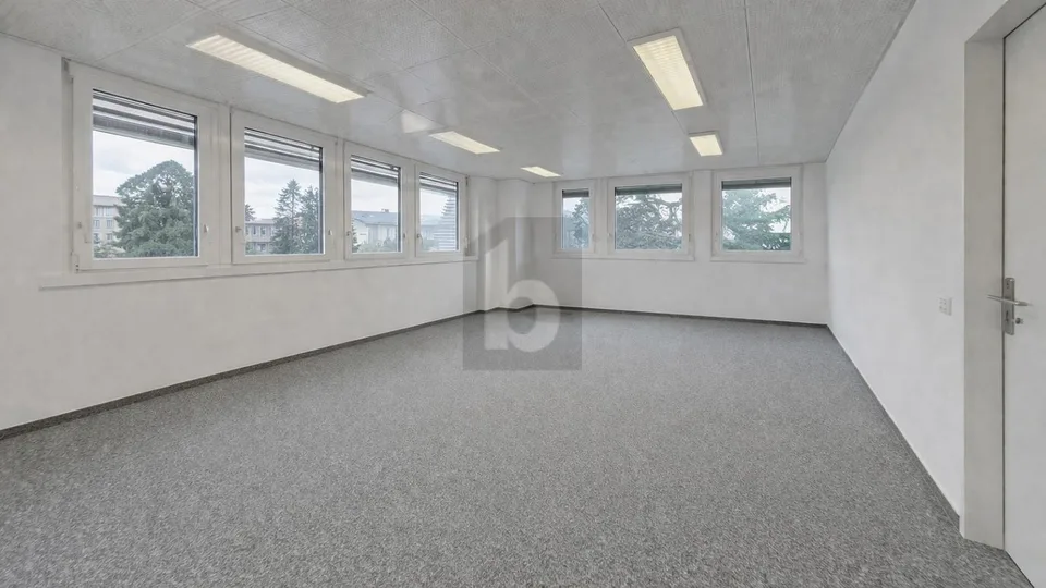 SURFACE LUMINEUSE DANS UN ENVIRONNEMENT CALME