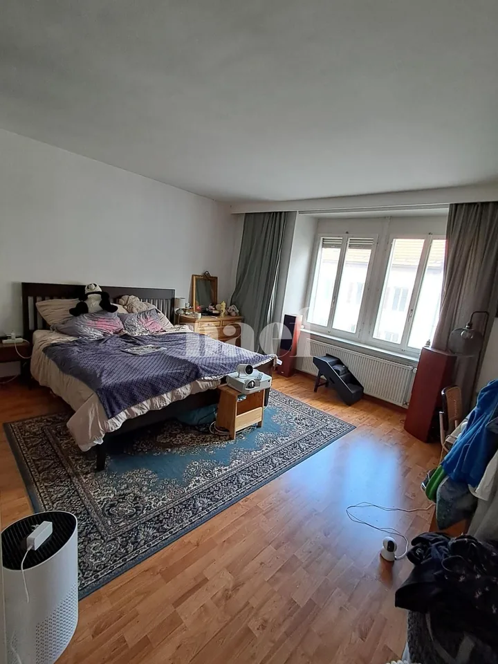 Große 4.5 Zimmer moderne Wohnung