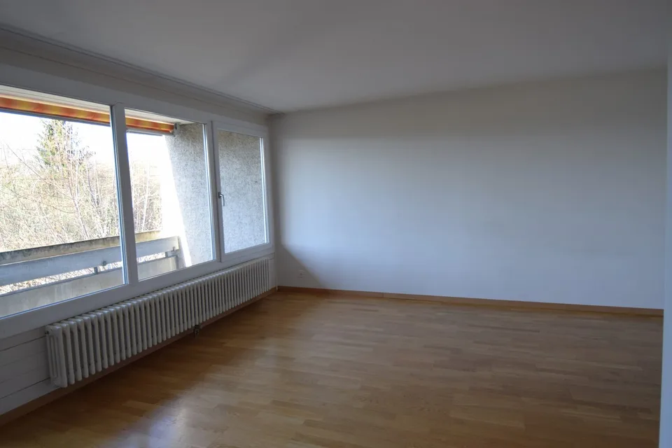 Bello appartamento di 2,5 locali vicino alla città di Berna