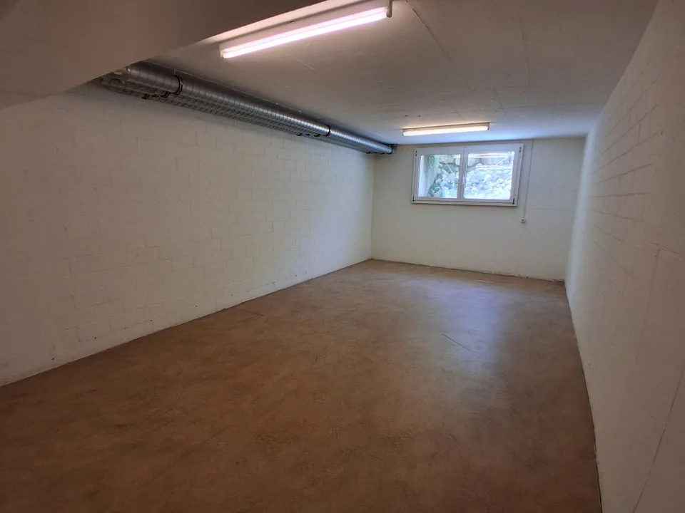 Disporaum gesucht?
