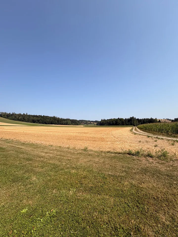Wunderschöne preisgünstige Dachwohnung mit Cheminée, ruhig und doch zentral
