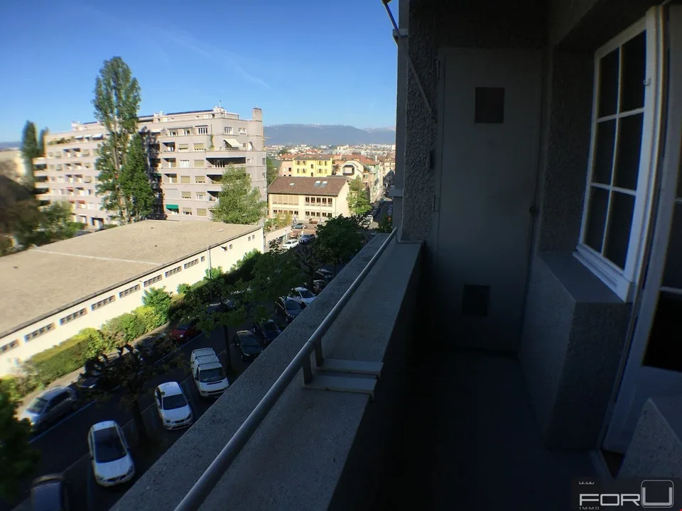 Schönes 5-Zimmer-Apartment in Eaux-Vives