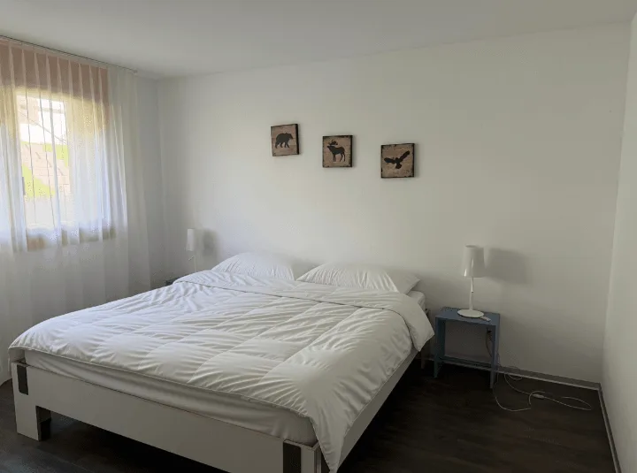 3.5 Zimmer Ferienwohnung mit Bergblick