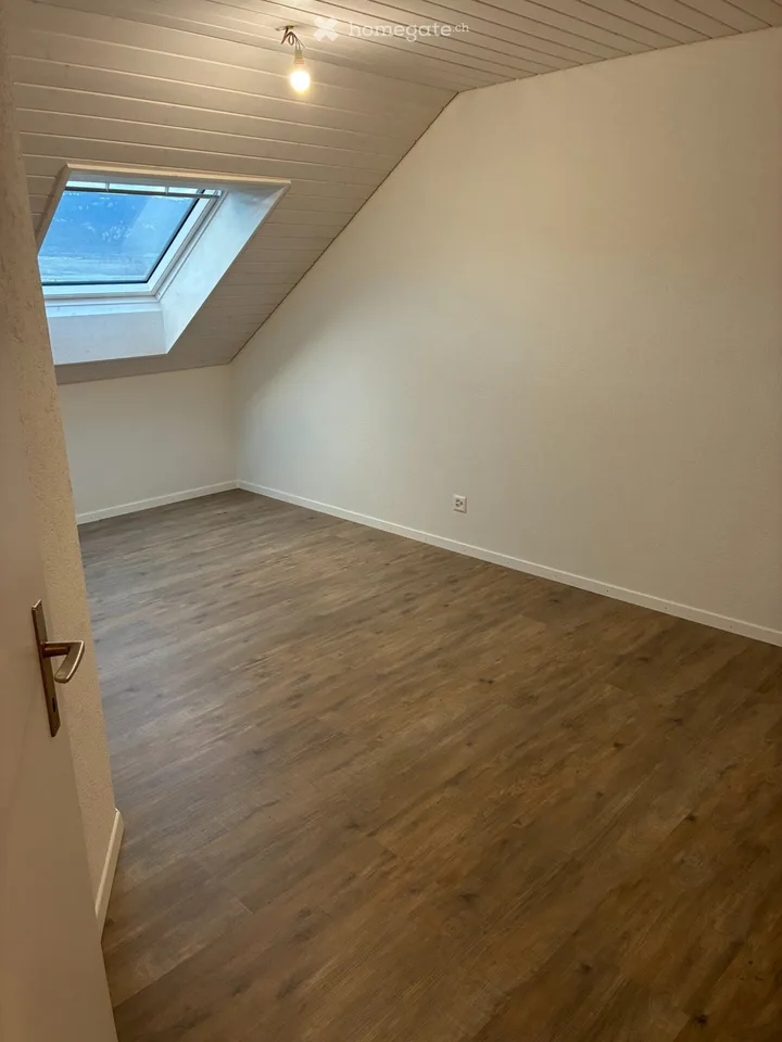 Newly renovated 3.5 room apartment
